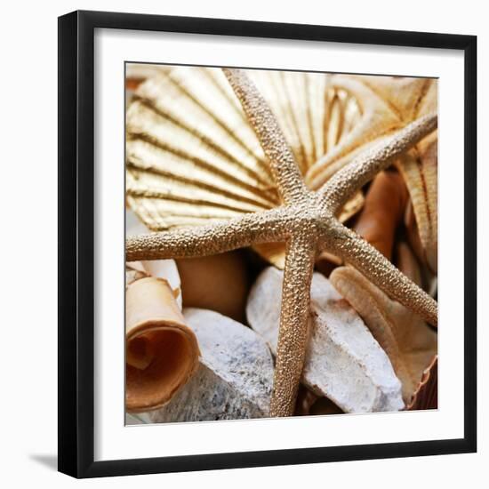 Gold Starfish II-Susan Bryant-Framed Photographic Print