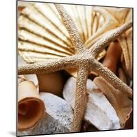 Gold Starfish II-Susan Bryant-Mounted Photographic Print