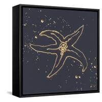 Gold Starfish III-Chris Paschke-Framed Stretched Canvas