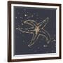 Gold Starfish III-Chris Paschke-Framed Premium Giclee Print