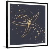 Gold Starfish III-Chris Paschke-Framed Premium Giclee Print