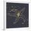 Gold Starfish III-Chris Paschke-Framed Premium Giclee Print