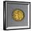 Gold Stater of Alexander the Great, Minted by Mint of Amphipolis, 336 BC-null-Framed Giclee Print