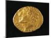 Gold Stater of Vercingetorix from Gaul, Roman Coins BC-null-Mounted Premium Giclee Print