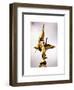 Gold Statue Atop World War I Memorial, Washington D.C, White Frame, Peace Colors-Philippe Hugonnard-Framed Art Print