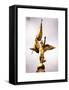 Gold Statue Atop World War I Memorial, Washington D.C, White Frame, Peace Colors-Philippe Hugonnard-Framed Stretched Canvas