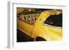 Gold Street Bird-Alan Hausenflock-Framed Photographic Print