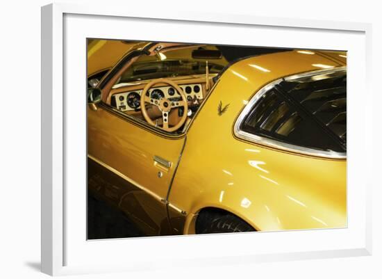 Gold Street Bird-Alan Hausenflock-Framed Photographic Print