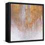 Gold Summer Woods Square-Roberto Gonzalez-Framed Stretched Canvas