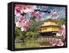 Gold Temple Japan-NicholasHan-Framed Stretched Canvas