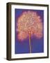 Gold Tree, 1997-Peter Davidson-Framed Giclee Print