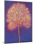 Gold Tree, 1997-Peter Davidson-Mounted Giclee Print