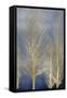 Gold Trees on Blue Panel II-Kate Bennett-Framed Stretched Canvas