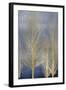 Gold Trees on Blue Panel II-Kate Bennett-Framed Art Print