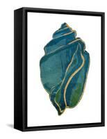 Gold Trim Sea Green Shells Mate-Jace Grey-Framed Stretched Canvas
