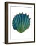 Gold Trim Sea Green Shells-Jace Grey-Framed Art Print