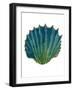 Gold Trim Sea Green Shells-Jace Grey-Framed Art Print