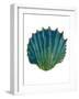 Gold Trim Sea Green Shells-Jace Grey-Framed Art Print