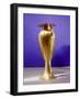 Gold vase, heset, used for pouring libations of water-Werner Forman-Framed Giclee Print