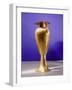 Gold vase, heset, used for pouring libations of water-Werner Forman-Framed Giclee Print