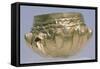 Gold Vessel from Belene, Lovech Region, Bulgaria-null-Framed Stretched Canvas