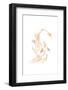 Gold White Japan Koi Fish-Sarah Manovski-Framed Photographic Print