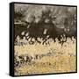 Gold Winds Square I-Lanie Loreth-Framed Stretched Canvas