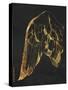 Gold Wing I-Gwendolyn Babbitt-Stretched Canvas