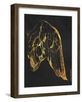 Gold Wing II-Gwendolyn Babbitt-Framed Art Print