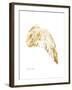 Gold Wing IV-Gwendolyn Babbitt-Framed Art Print