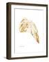 Gold Wing IV-Gwendolyn Babbitt-Framed Art Print