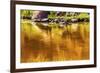 Gold Yellow Brown Colorado River Reflection Abstract outside Arches National Park Moab Utah-BILLPERRY-Framed Photographic Print