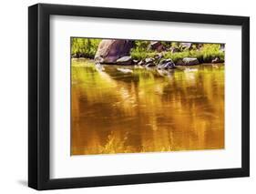 Gold Yellow Brown Colorado River Reflection Abstract outside Arches National Park Moab Utah-BILLPERRY-Framed Photographic Print