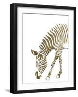 Gold Zebra-Patricia Pinto-Framed Art Print