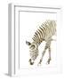 Gold Zebra-Patricia Pinto-Framed Art Print