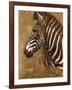 Gold Zebra-Patricia Pinto-Framed Art Print