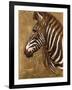 Gold Zebra-Patricia Pinto-Framed Art Print