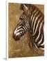 Gold Zebra-Patricia Pinto-Framed Art Print