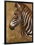 Gold Zebra-Patricia Pinto-Framed Art Print