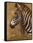 Gold Zebra-Patricia Pinto-Framed Stretched Canvas