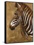 Gold Zebra-Patricia Pinto-Framed Stretched Canvas