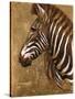 Gold Zebra-Patricia Pinto-Stretched Canvas