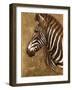 Gold Zebra-Patricia Pinto-Framed Art Print