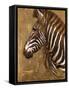 Gold Zebra-Patricia Pinto-Framed Stretched Canvas