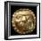 Gold Zoomorphic Breastplate Originating from La Tolita-null-Framed Premium Giclee Print