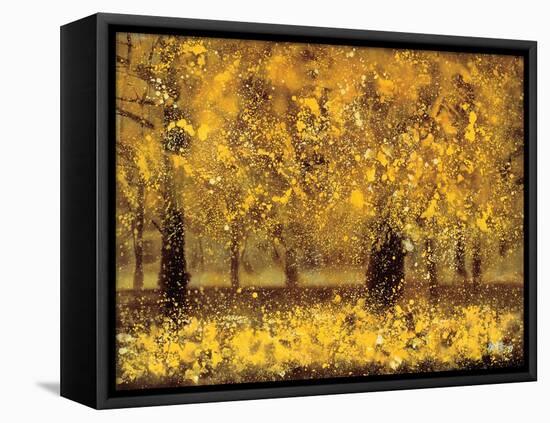 Golden Age-Pihua Hsu-Framed Stretched Canvas