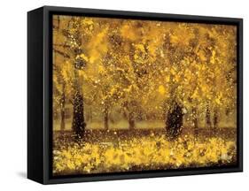 Golden Age-Pihua Hsu-Framed Stretched Canvas