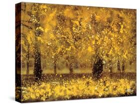 Golden Age-Pihua Hsu-Stretched Canvas