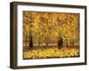 Golden Age-Pihua Hsu-Framed Giclee Print