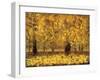 Golden Age-Pihua Hsu-Framed Giclee Print
